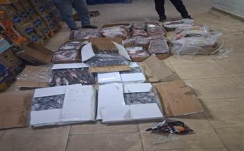 محافظ أسيوط: ضبط 218 كيلو لحوم وكبدة وأسماك غير صالحة للاستهلاك الآدمي داخل ثلاجة للمجمدات بمركز أسيوط