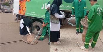 محافظ الدقهلية يتابع جهود الطب البيطري والجهات المعنية في حملات مواجهة الكلاب الضالة بمركز ومدينة شربين  