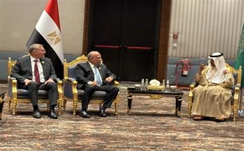 مصر والسعودية تبحثان تعزيز التكامل في الطاقة والغاز والكهرباء