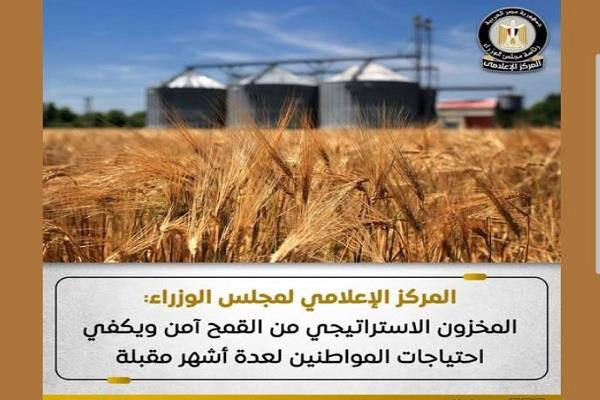 مجلس الوزراء: المخزون الاستراتيجي من القمح آمن ويكفي احتياجات المواطنين لعدة أشهر مقبلة