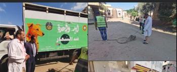 محافظ الدقهلية يتابع حملات الطب البيطري والجهات المعنية لمواجهة الكلاب الضالة بالسنبلاوين
