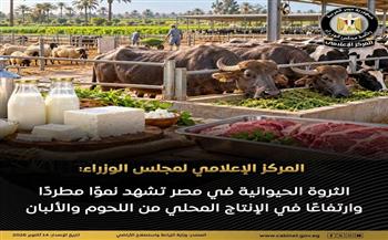 "الوزراء": الثروة الحيوانية في مصر تشهد نموًا مطردًا وارتفاعًا في الإنتاج المحلي من اللحوم والألبان