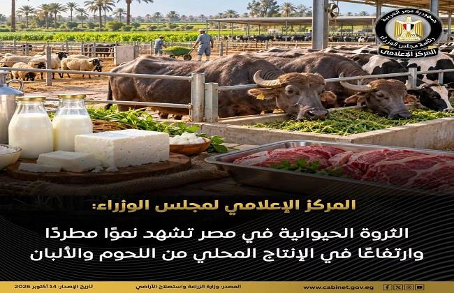 "الوزراء": الثروة الحيوانية في مصر تشهد نموًا مطردًا وارتفاعًا في الإنتاج المحلي من اللحوم والألبان