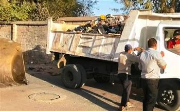 رفع 70 طن قمامة ومخلفات في حملة نظافة مكبرة بمدينة جهينة بسوهاج