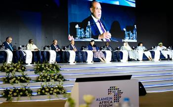 وزير الخارجية: الدبلوماسية الاقتصادية محرك رئيسي لدعم التنمية في إفريقيا