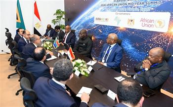 وزير الخارجية يبحث مع نظيره الجنوب إفريقي القضايا الإقليمية
