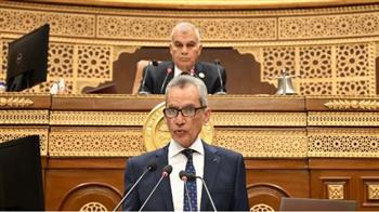 وزير شؤون المجالس النيابية: نحو 30 قانونًا على أجندة الحكومة وفق ترتيب محدد للأولويات
