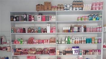«مشروعك» بالشرقية ينفذ 22 ألفًا و707 مشروعات بتكلفة 3.9 مليار جنيه ويوفر 59 ألفًا و708 فرص عمل