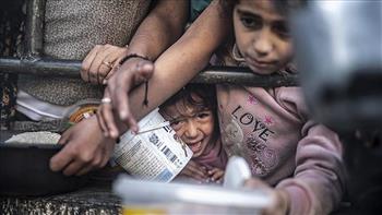 الإغاثة الطبية في غزة : 80% من المواطنين يعانون من انعدام الأمن الغذائي في القطاع