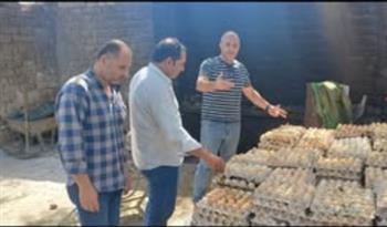  محافظ الغربية: ضبط 105 آلاف بيضة فاسدة وغير صالحة للاستهلاك الآدمي داخل مزرعتين غير مرخصتين ببسيون