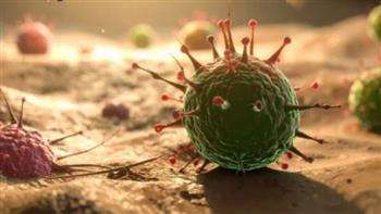 كل ما تريد معرفته عن فيروس نيباه