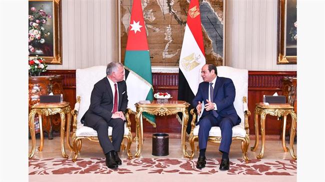 الرئيس السيسي وملك الأردن: إقامة دولة فلسطينية مستقلة السبيل لتحقيق السلام