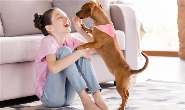 للحيوانات الأليفة في المنزل.. فوائد تربوية تساعد طفلك على النمو بثقة وتوازن