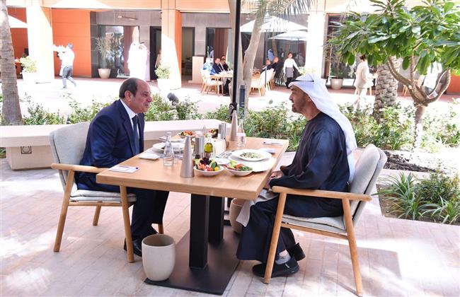 متحدث الرئاسة ينشر فيديو لزيارة الرئيس السيسي إلى أبوظبي