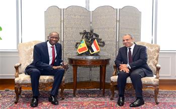 مباحثات مصرية سنغالية لتعزيز الشراكة الاستراتيجية ودعم جهود التنمية والاستقرار في القارة الأفريقية