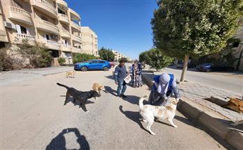 "الزراعة": تحصين أكثر من 8 آلاف كلب منذ يناير ضمن الحملة القومية لمكافحة مرض السعار
