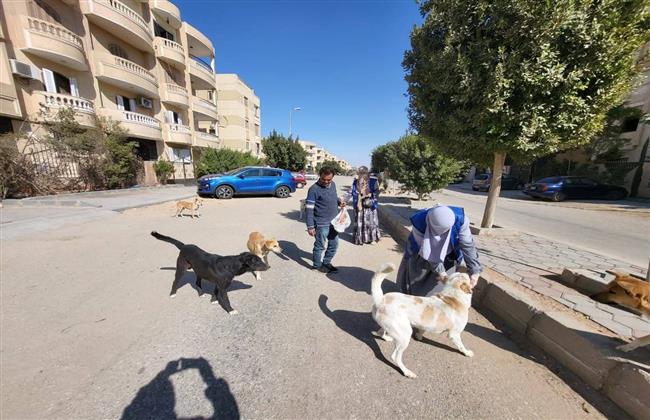 "الزراعة": تحصين أكثر من 8 آلاف كلب منذ يناير ضمن الحملة القومية لمكافحة مرض السعار