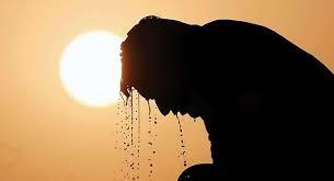 هل ترتفع الحرارة في الشتاء بسبب التغيرات المناخية؟.. خبراء يوضحون