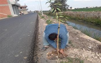 زراعة 10 آلاف شجرة بالبحيرة ضمن المرحلة الرابعة من المبادرة الرئاسية "100 مليون شجرة"