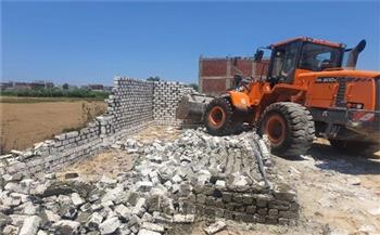 إزالة حالات تعد على أراضي أملاك الدولة وبناء عشوائي مخالف بالإسكندرية