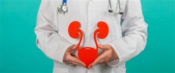 تأثير الجو البارد على المسالك البولية