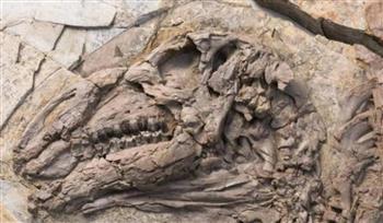 اكتشاف ديناصور بأشواك فريدة وحراشف كبيرة