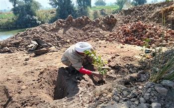 "معًا لتشجير قرية أولاد عمرو".. مبادرة لتحويل بؤر النفايات إلى مساحات خضراء بقنا