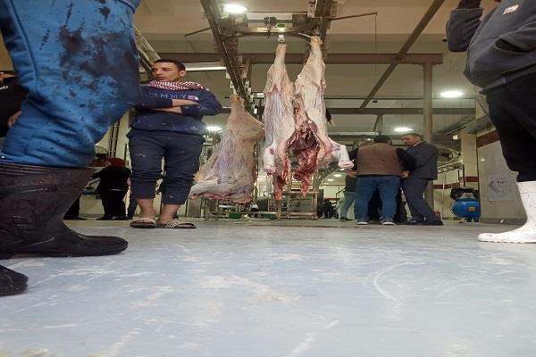 وزير التموين يفتتح مجزر كفر شكر بالقليوبية لتعزيز منظومة الأمن الغذائي