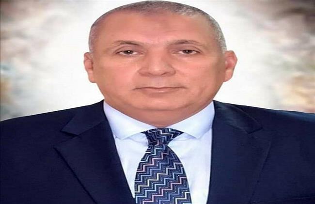 317 حالة استفادت.. قافلة «روتاري» تواصل خدماتها بمستشفى الداخلة العام بالوادي الجديد 