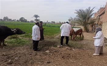 محافظ الفيوم: تحصين أكثر من 20 ألف رأس ماشية ضد مرض الحمى القلاعية والوادي المتصدع خلال شهر