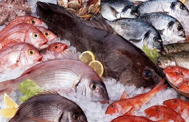 أسعار الأسماك اليوم الجمعة 13 فبراير 2026 في سوق العبور.. البلطي بـ58 جنيهاً   