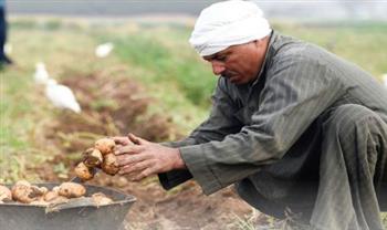 «زيادة الصادرات» هدف استراتيجى..  الزراعة العضوية.. «الفرصة الواعدة»