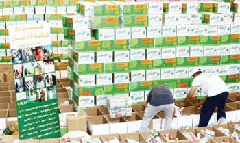 شنط غذائية وكوبونات إطعام و«بوكسات» فاخرة..  رمضان فى مصر «حاجة تانية»