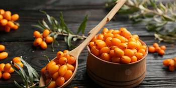 النبق لمواجهة القلق والتوتر