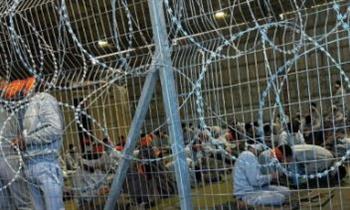 نادي الأسير الفلسطيني: 90 شهيدًا داخل سجون الاحتلال بسبب الإهمال الطبي