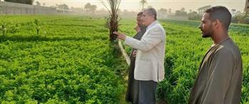 محافظ أسيوط يوجه بمتابعة الزراعات بالقرى والنجوع ومديرية الزراعة تتابع المحاصيل الشتوية بمركز الفتح 