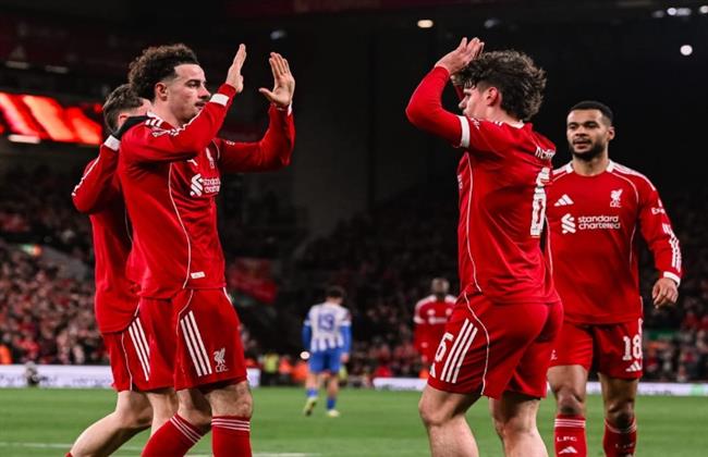 كأس إنجلترا.. ليفربول يتقدم على برايتون بهدف في الشوط الأول