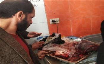محافظ المنيا: ضبط أكثر من 719 كيلو جرام لحوم غير صالحة ومذبوحة خارج المجازر  