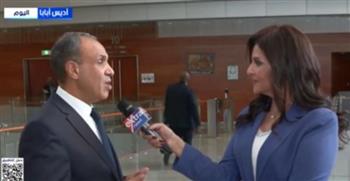  بدر عبدالعاطي: مصر تحصل على توافق أفريقي واسع حول مبادئ السلم والأمن والتنمية