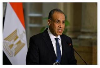 وزير الخارجية: الرئيس السيسي يؤكد أن تحقيق الأمن والاستقرار في أفريقيا يتم بالحفاظ على مؤسسات الدولة