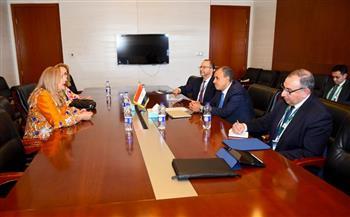 وزير الخارجية يؤكد أهمية القطاع الخاص في تحقيق التنمية المستدامة بأفريقيا