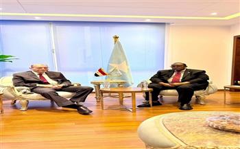 سفير الصومال بالقاهرة يشيد بالدور المصري المحوري في دعم بلاده عربيا ودوليا