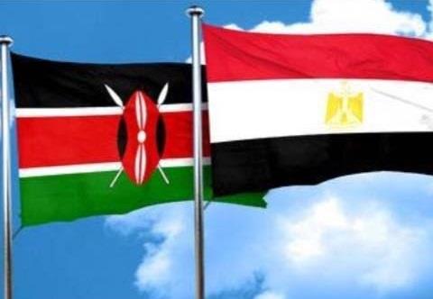 اتفاق مصري كيني على تكثيف التنسيق حول الأمن المائي