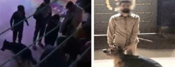 القبض على شخص بالإسكندرية لاستخدامه كلبًا في ترويع المواطنين