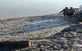 جهاز حماية وتنمية البحيرات والثروة السمكية يواصل دعم الإنتاج بمزرعة الزاوية بكفر الشيخ