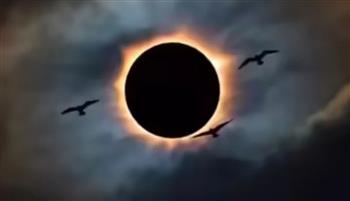 سلوكيات غامضة للطيور والحيوانات وقت الكسوف الحلقي