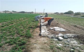 إزالة حالتي تعدٍ على أراضي أملاك الدولة بقرية المحاميد في أرمنت بالأقصر