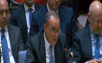 وزير الخارجية أمام مجلس الأمن: نتطلع لشرق أوسط آمن ومستقر.. وندعم الدولة الفلسطينية