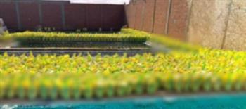 ضبط مصنع أسمدة مغشوشة بدون ترخيص بالقليوبية والتحفظ على 210 أطنان