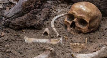 رفات بشرية تحل لغز عمره 17 عامًا